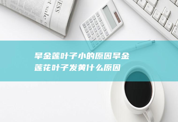 旱金莲叶子小的原因(旱金莲花叶子发黄什么原因)