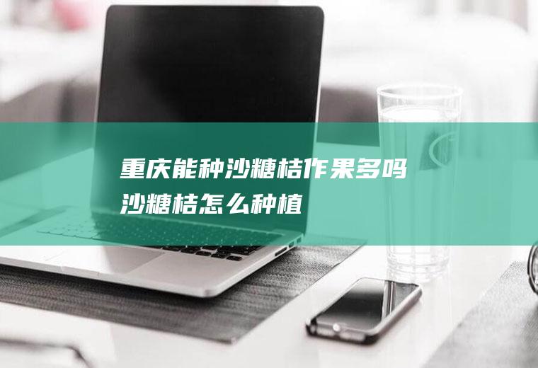 重庆能种沙糖桔作果多吗(沙糖桔怎么种植)