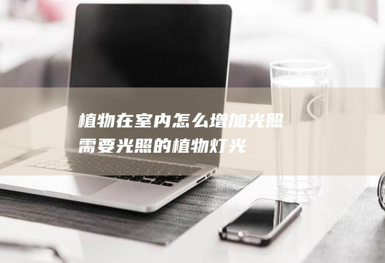 植物在室内怎么增加光照(需要光照的植物,灯光照可以吗)