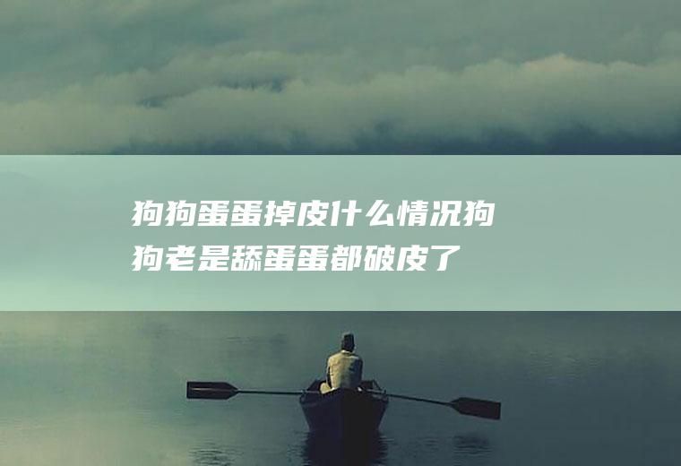 狗狗蛋蛋掉皮什么情况(狗狗老是舔蛋蛋都破皮了)