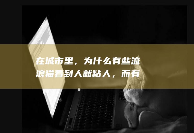 在城市里，为什么有些流浪猫看到人就粘人，而有些流浪猫看到人就跑
