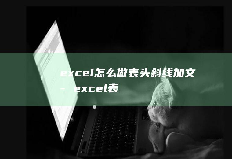excel怎么做表头斜线加文字,excel表格怎么插入图片