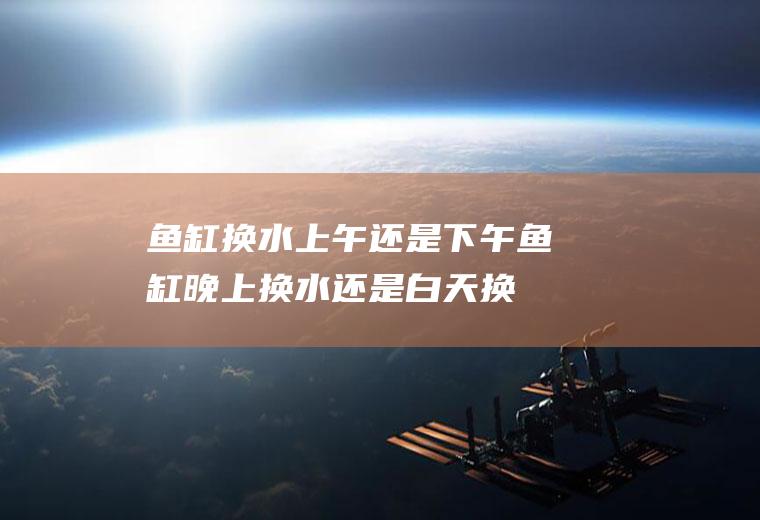 鱼缸换水上午还是下午(鱼缸晚上换水还是白天换水比较好)