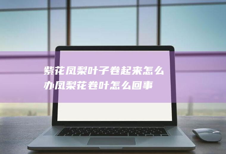 紫花凤梨叶子卷起来怎么办(凤梨花卷叶怎么回事)