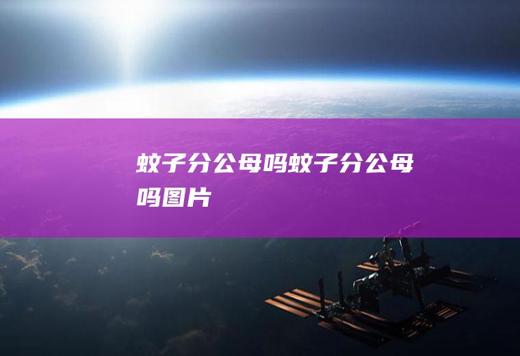 蚊子分公母吗,蚊子分公母吗图片