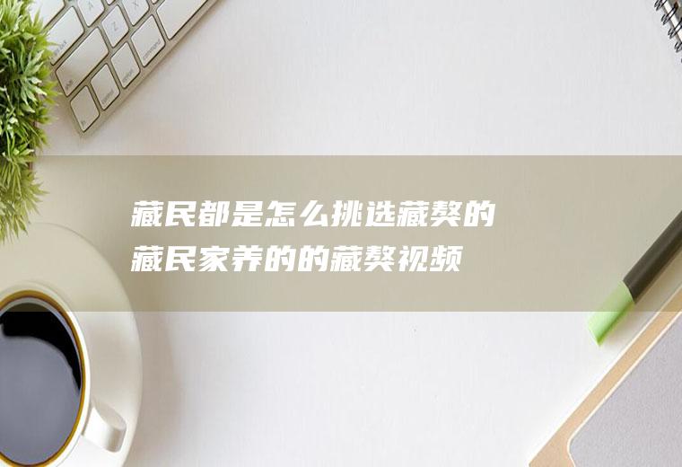 藏民都是怎么挑选藏獒的藏民家养的的藏獒视频