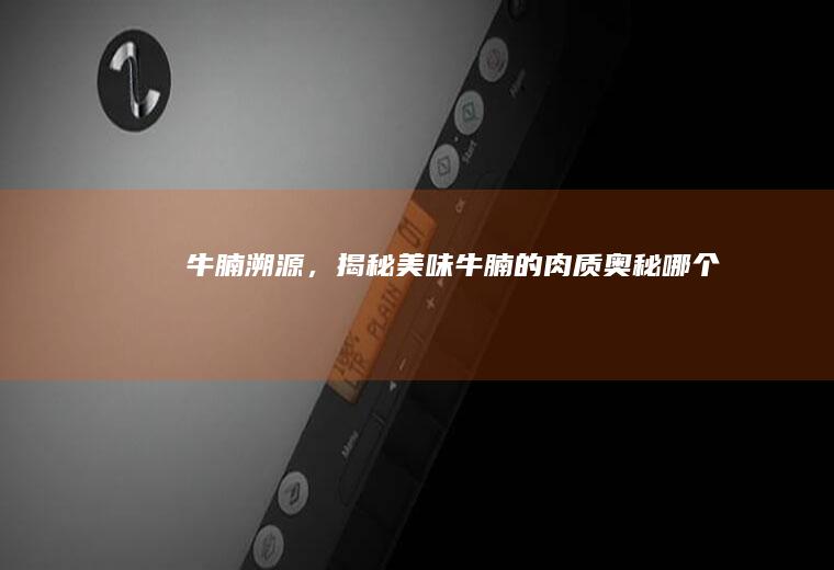 牛腩溯源，揭秘美味牛腩的肉质奥秘_哪个