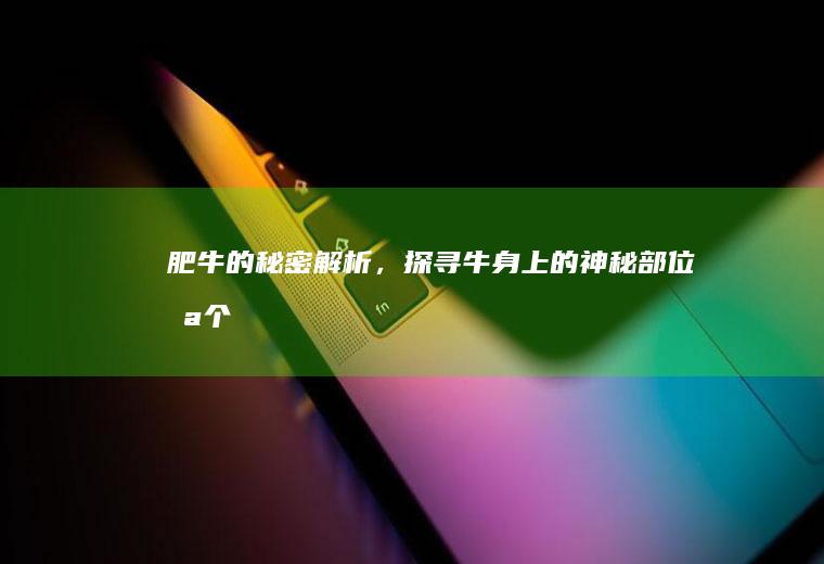 肥牛的秘密解析，探寻牛身上的神秘部位_哪个