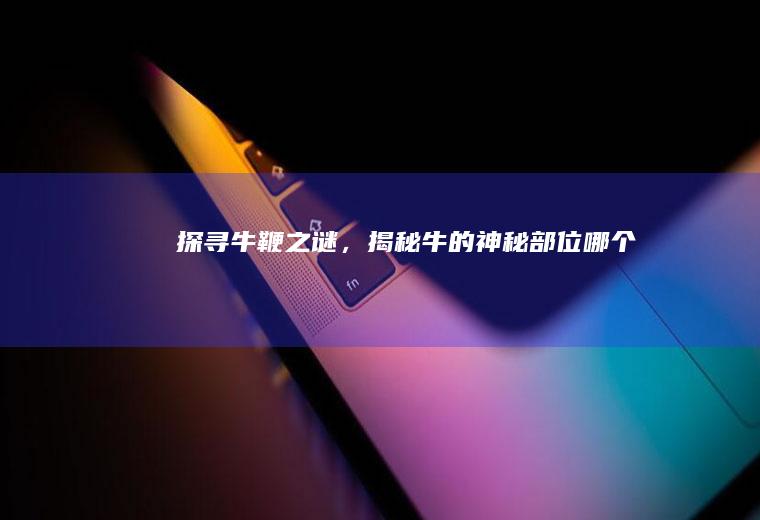 探寻牛鞭之谜，揭秘牛的神秘部位_哪个