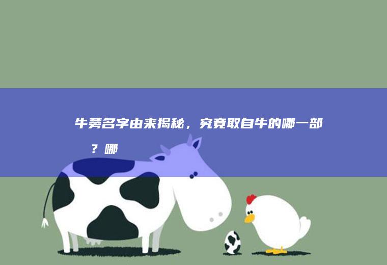 牛蒡名字由来揭秘，究竟取自牛的哪一部分？_哪个