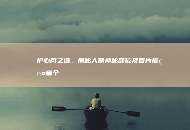 护心肉之谜，揭秘人体神秘部位及图片展示_哪个