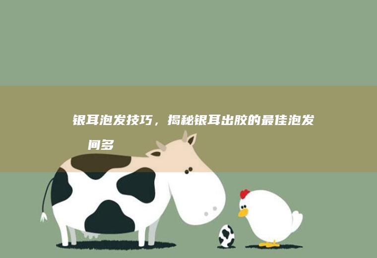 银耳泡发技巧，揭秘银耳出胶的最佳泡发时间_多久