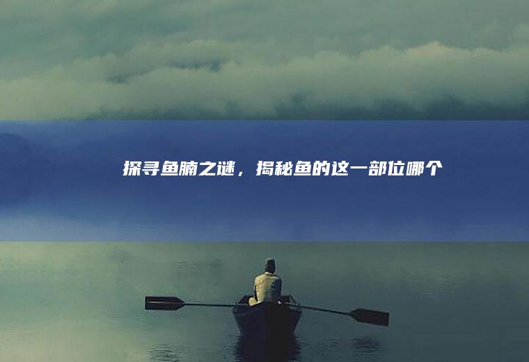 探寻鱼腩之谜，揭秘鱼的这一部位_哪个