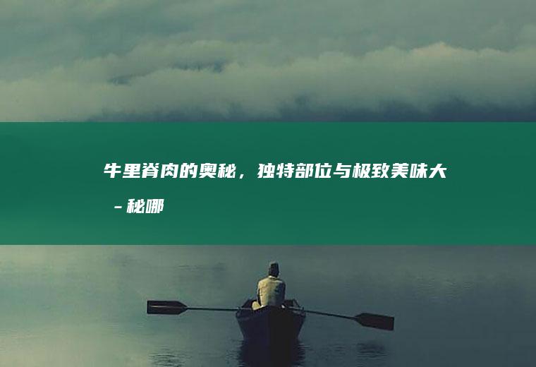 牛里脊肉的奥秘，独特部位与极致美味大揭秘_哪个