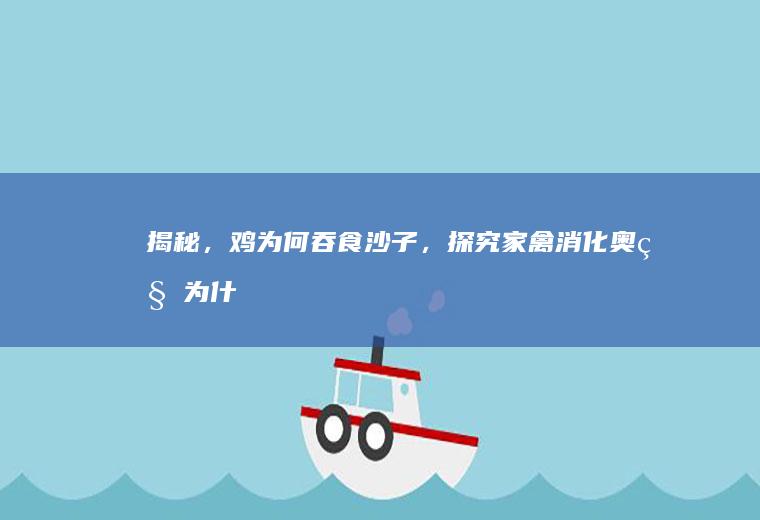 揭秘，鸡为何吞食沙子，探究家禽消化奥秘_为什么