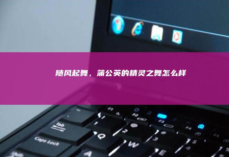 随风起舞，蒲公英的精灵之舞_怎么样