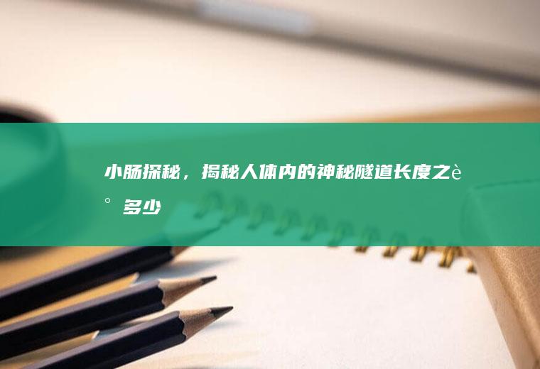 小肠探秘，揭秘人体内的神秘隧道长度之谜_多少