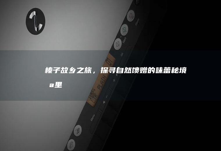 榛子故乡之旅，探寻自然馈赠的味蕾秘境_哪里
