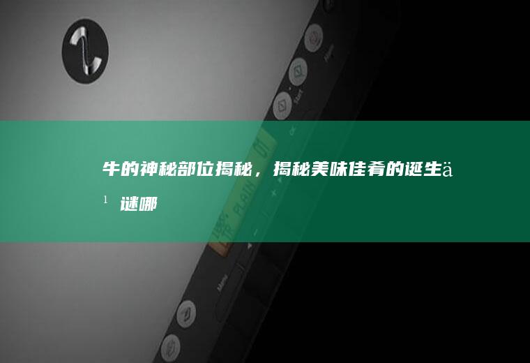 牛的神秘部位揭秘，揭秘美味佳肴的诞生之谜_哪个