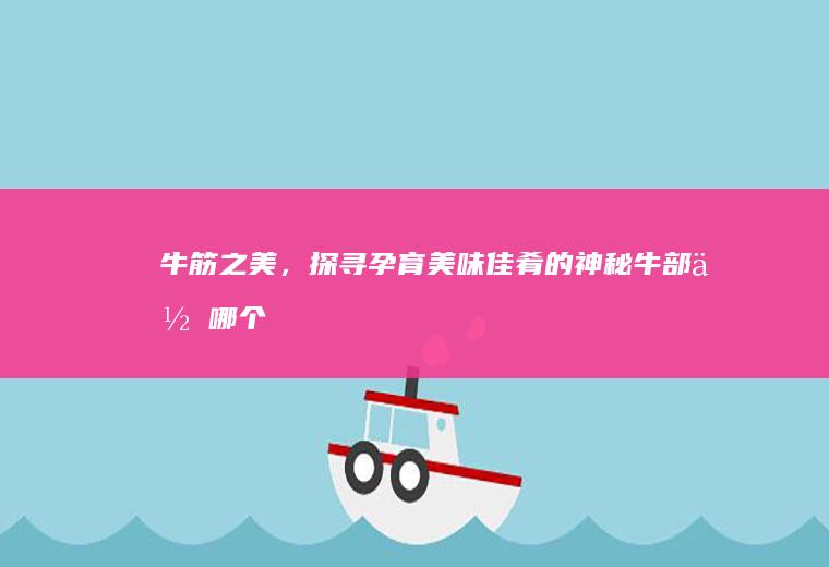 牛筋之美，探寻孕育美味佳肴的神秘牛部位_哪个