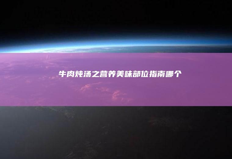 牛肉炖汤之营养美味部位指南_哪个