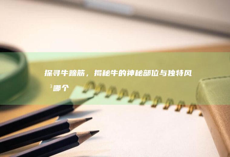 探寻牛蹄筋，揭秘牛的神秘部位与独特风味_哪个