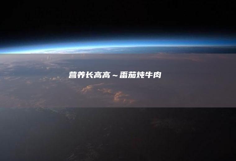 营养长高高～番茄炖牛肉