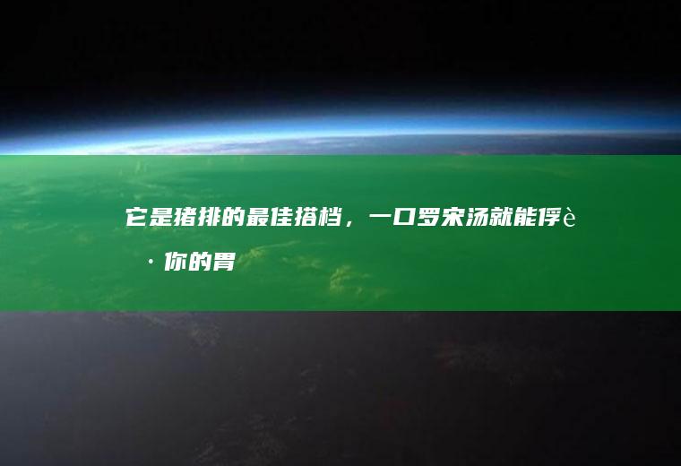 它是猪排的最佳搭档，一口罗宋汤就能俘获你的胃和心！