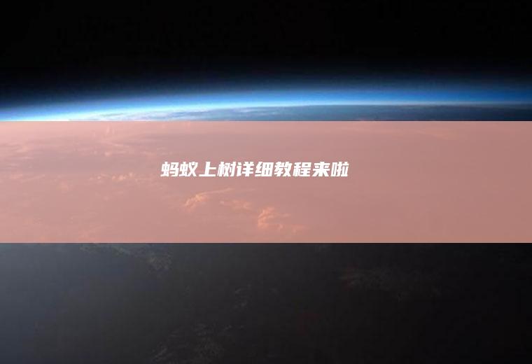 上树详细教程来啦