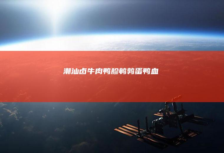 潮汕卤牛肉/鸭胗/鹌鹑蛋/鸭血