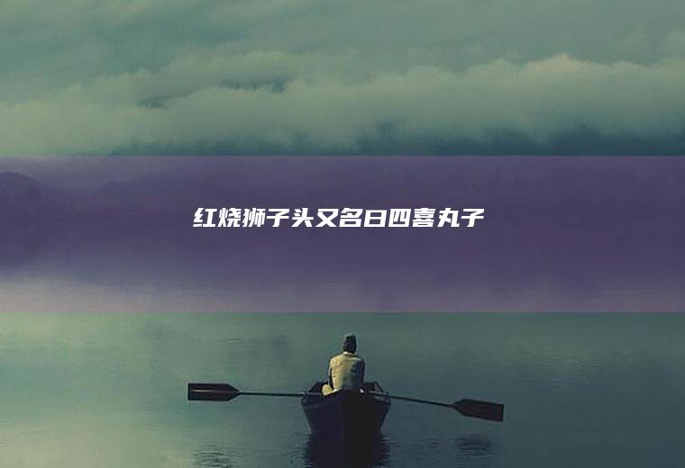 红烧头又名曰四喜