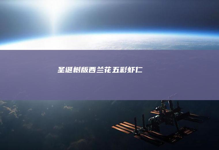 圣诞树版西五彩虾仁☃❄️