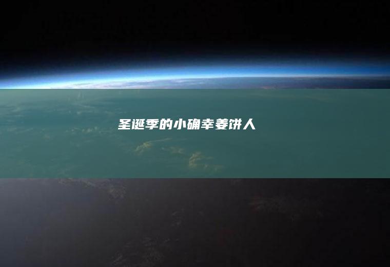 圣诞季的小确幸【姜饼人】