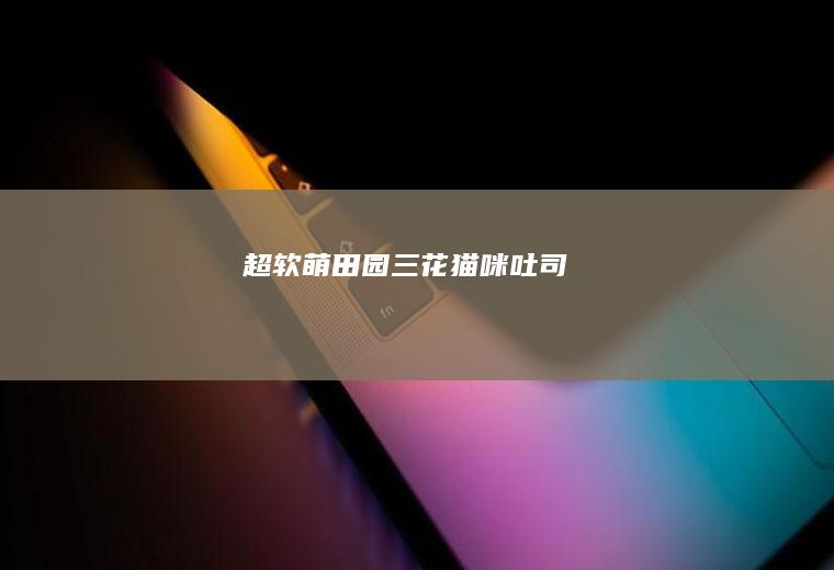 超软萌田园三花猫咪吐司