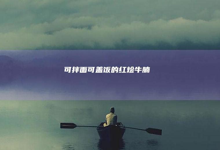 可拌面可盖饭的红烩牛腩