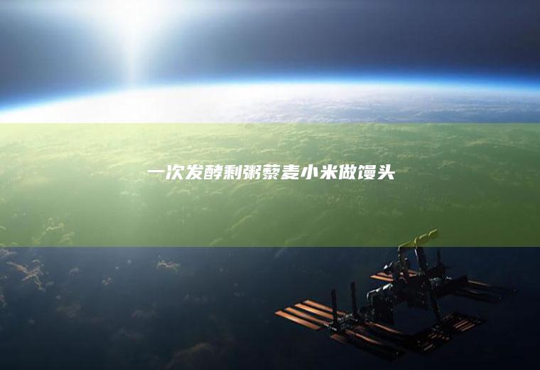 一次发酵剩粥（藜麦小米）做馒头