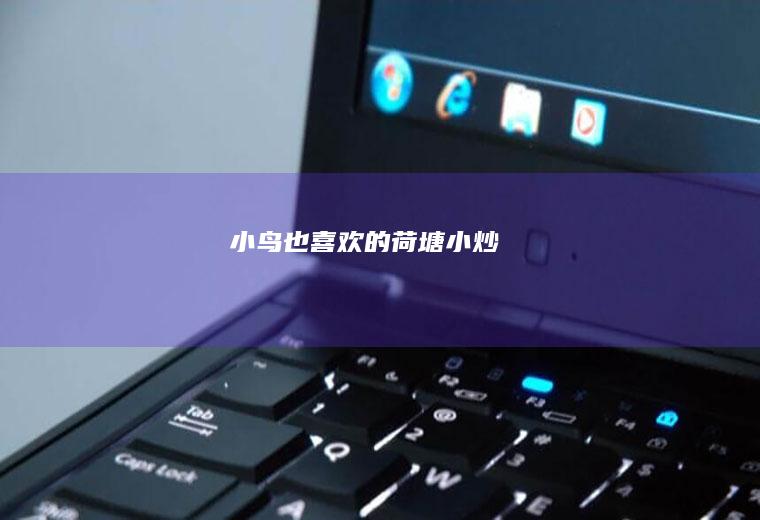 小鸟也喜欢的荷塘小炒