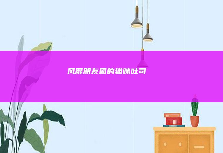 风靡朋友圈的猫咪吐司