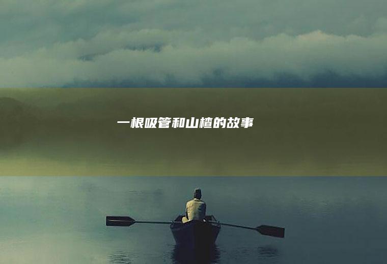 一根吸管和的故事