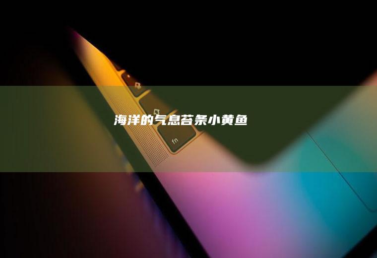 海洋的气息苔条