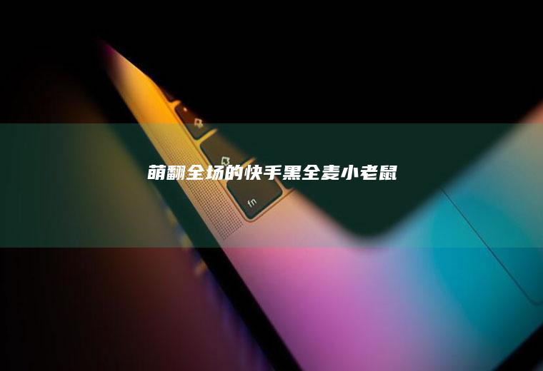 萌翻全场的快手黑全麦小老鼠